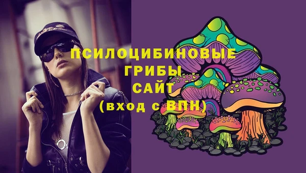 2c-b Алексин