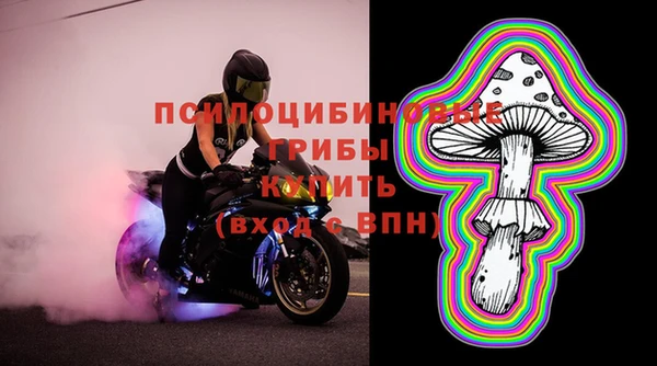 спайс Пестово