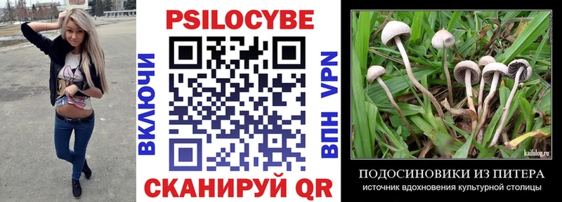 Псилоцибиновые грибы прущие грибы  дарнет шоп  Бежецк 